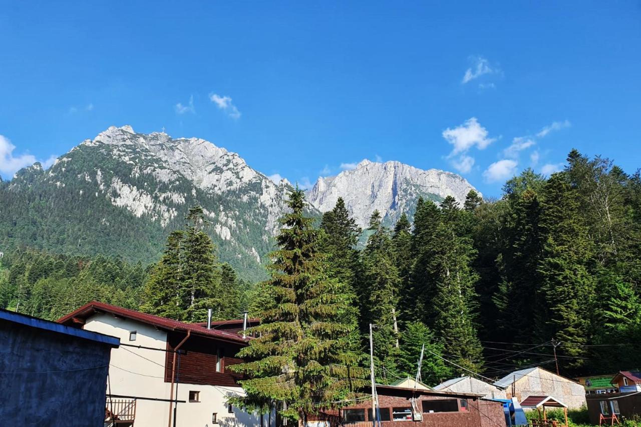Apartament Eric, บุชเตนี ภายนอก รูปภาพ